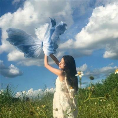 艳阳春水惊鸿 在线观看